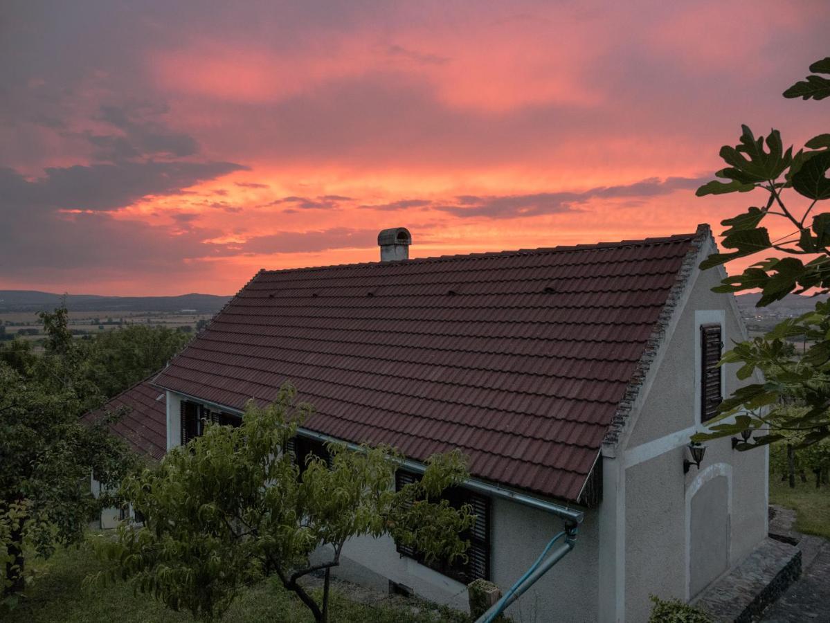 Raposka Hillside Vendeghaz A Szent Gyoergy-Hegyen 빌라 외부 사진